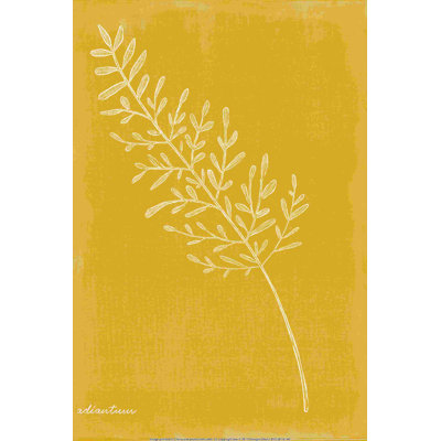 " Marigold Botanical Sketch "