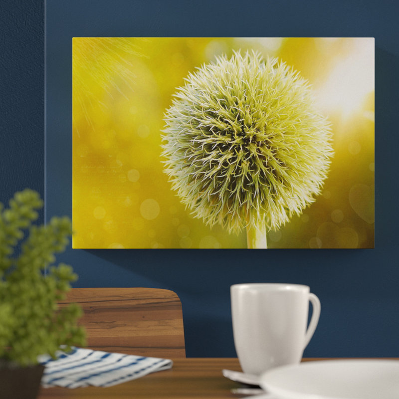 Wrapped Canvas Print, 50cm H x 76cm W