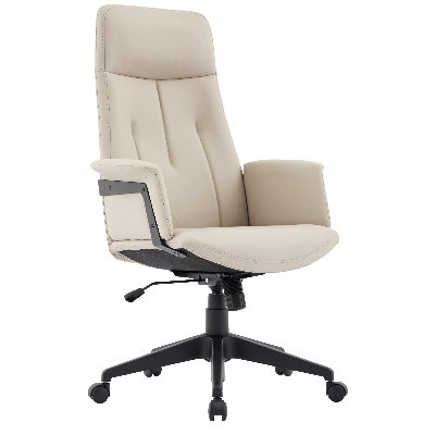 Philander Leather Office Chair – Executive Desk & Conference Seating with Adjustable Height, Lumbar Support, Swivel Base & Fixed Arms