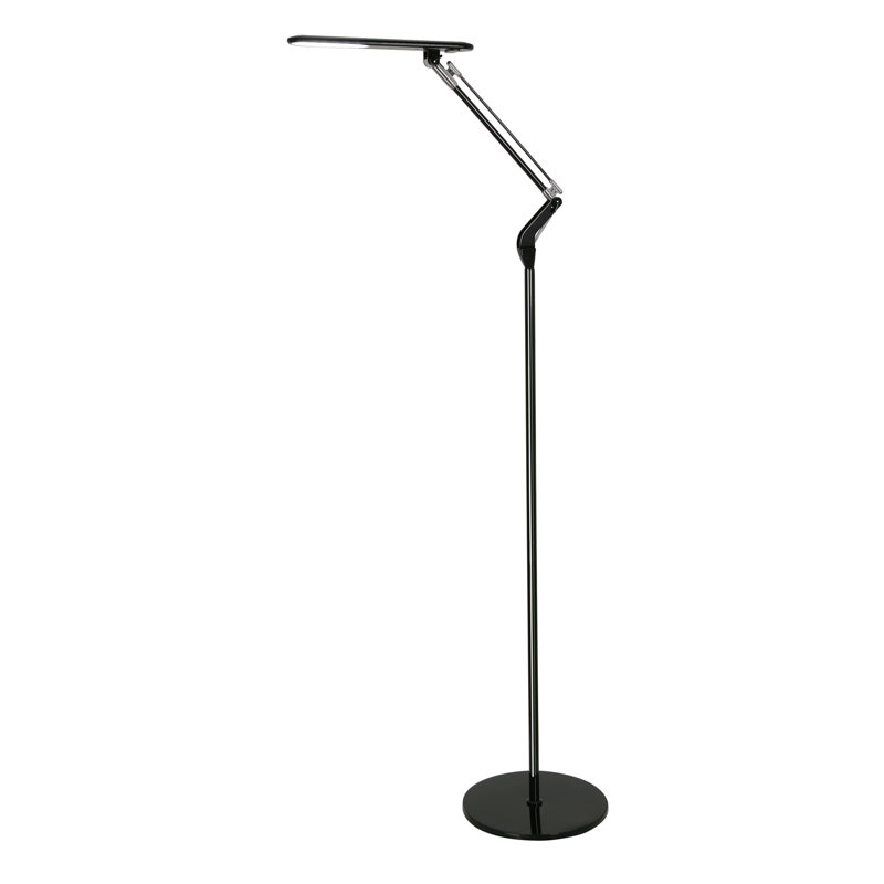 Broome Task Floor Lamp, Black