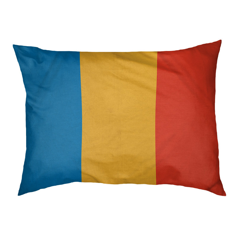 Oreiller Oklahoma, Moyen (l 28 po x P 18 po x H 9,5 po), Bleu basketball / jaune / rouge basketball