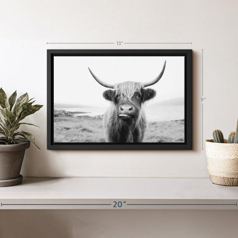 Animal «Vache Highland», H 13 po x l 9 po
