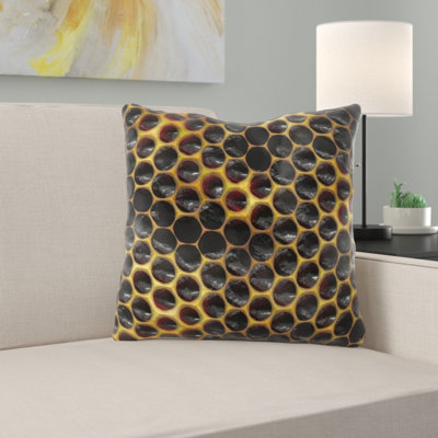 Dolezal Hexagon Square Pillow Cover & Insert