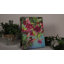 Mini fond de chevalet illuminé 8 x 6 Hummingbirds and Fuchsia
