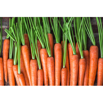 Annastassia Carrot - Wrapped Canvas Print