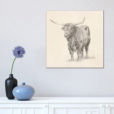 " Longhorn Steer Sketch I " by Ethan Harper