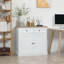 Buffet, armoire de cuisine, armoire à café avec 2 tiroirs et armoire à double porte pour le salon, le vestibule