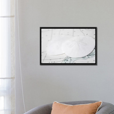 " Nautical Sand Dollars " by Savanah Plank
