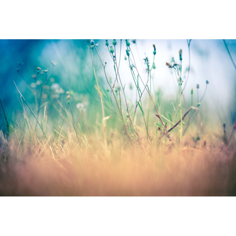 Herbe séchée par Jeja