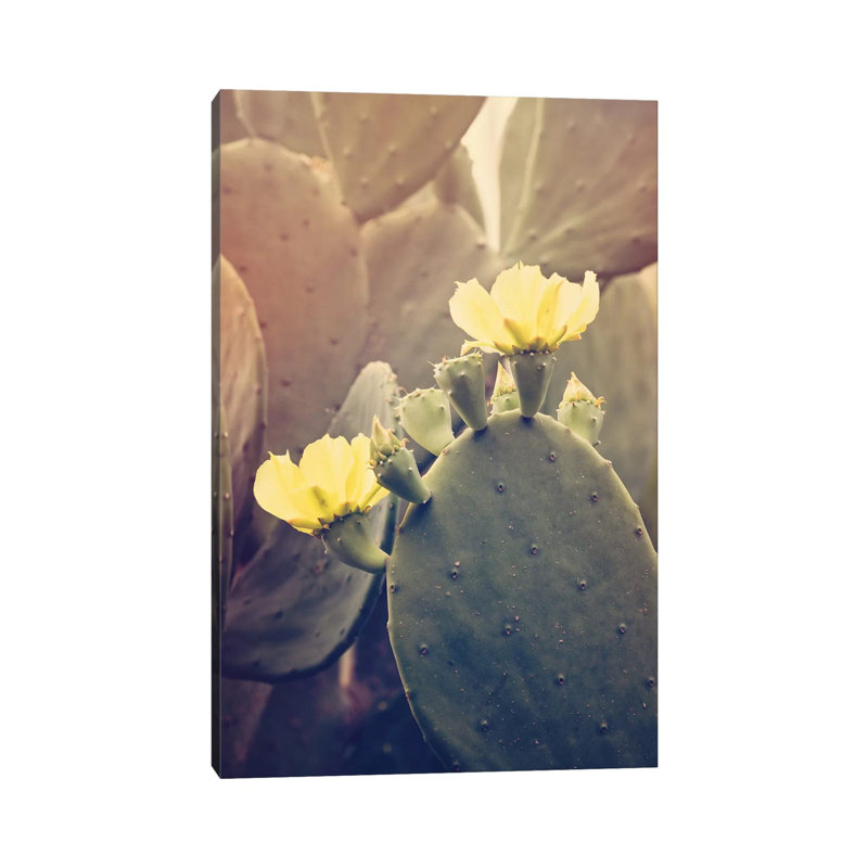 Desert Rose by Ann Hudec - Photograph on Canvas, Wrapped Canvas, 101.6cm H x 66.04cm W x 1.91cm D