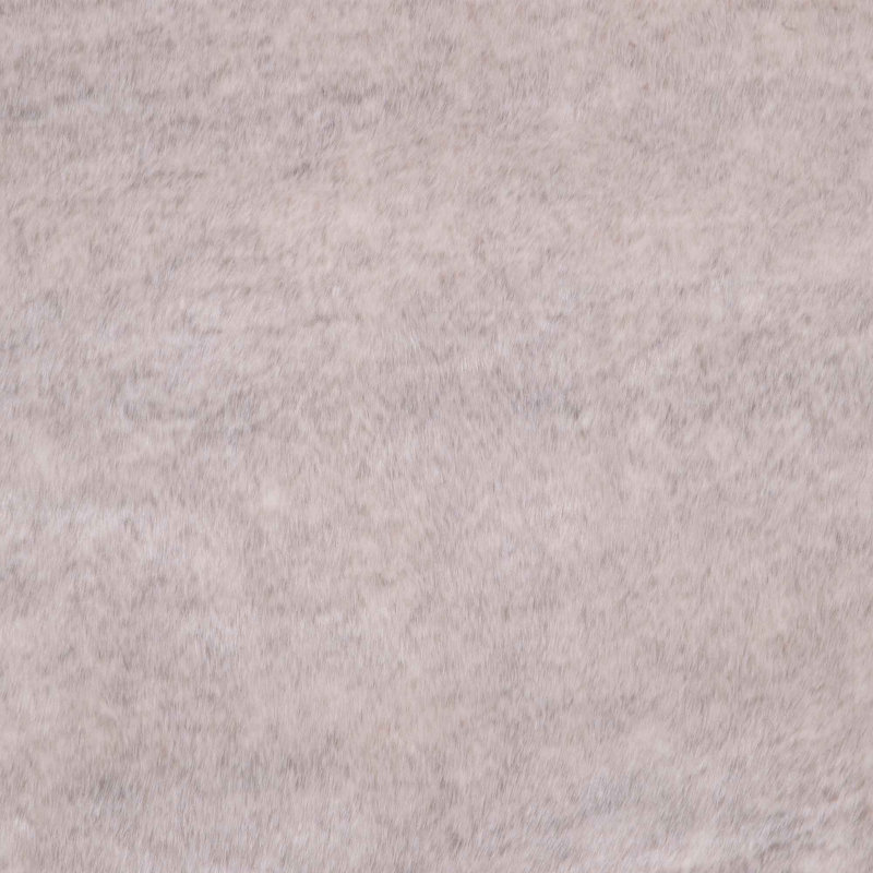 Damien Fabric