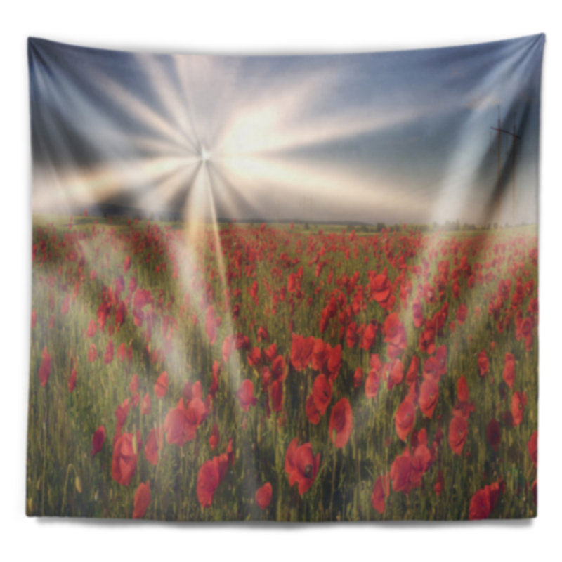 Coquelicots sauvages floraux sous la tapisserie du soleil, H 50 po x l 60 po