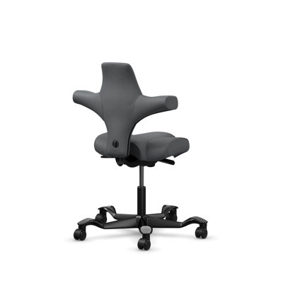 HÅG Capisco Adjustable Standard Height Chair