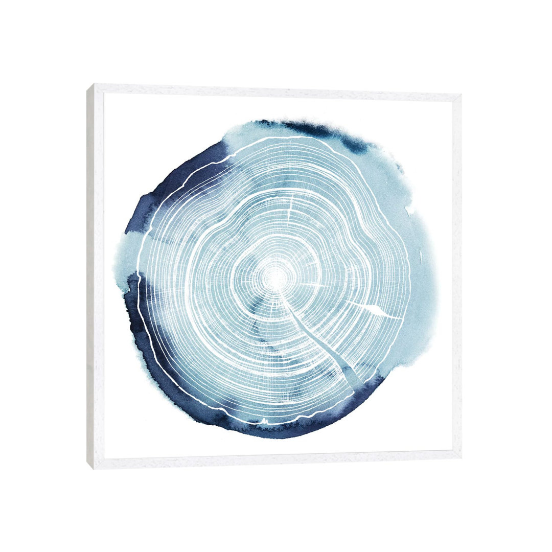 Tree Ring Overlay III von Grace Popp - Gallery-Wrapped Canvas Giclée on Canvas