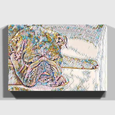 White British Bulldog 1 - Wrapped Canvas