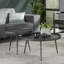 Espinoza Three Leg Coffee Table