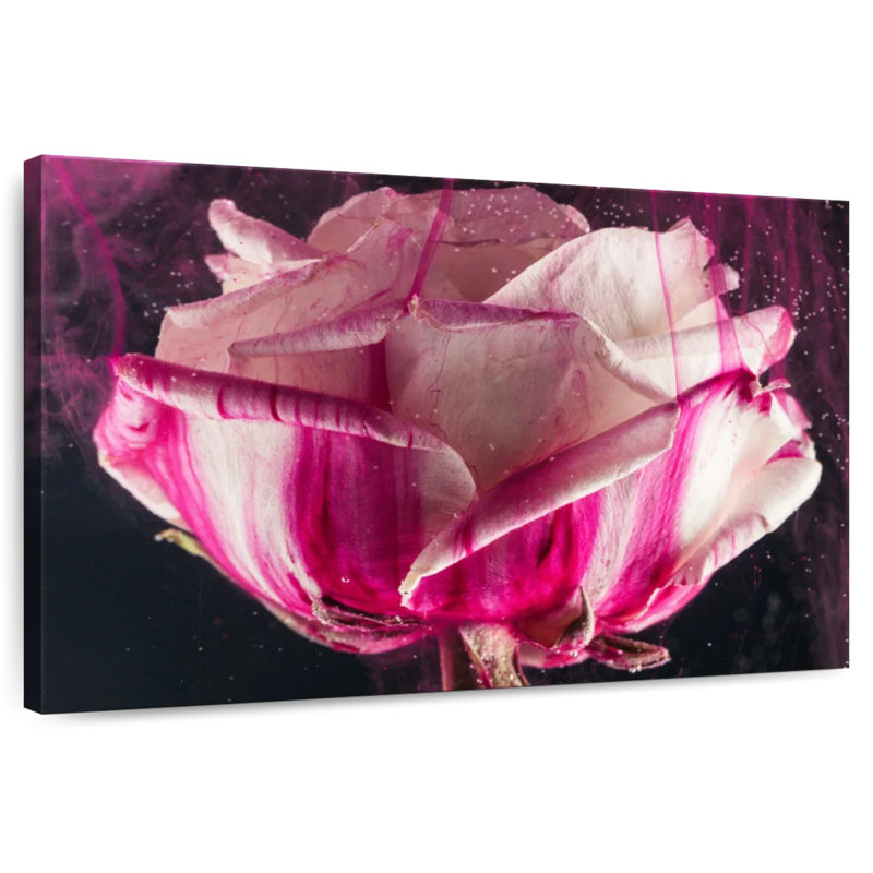 Harnek Modern Rose, 8" H x 12" W