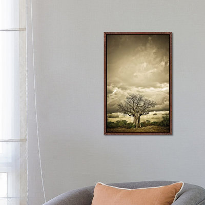 Baobab Hierarchy IV 1 Piece Wall Art on Canvas
