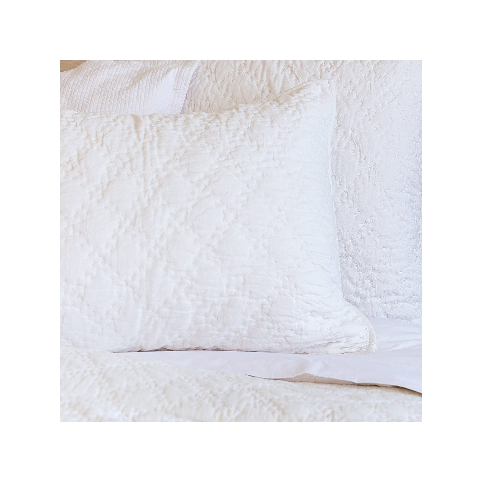 Gilmore 100% Cotton Sham, Euro, Dove