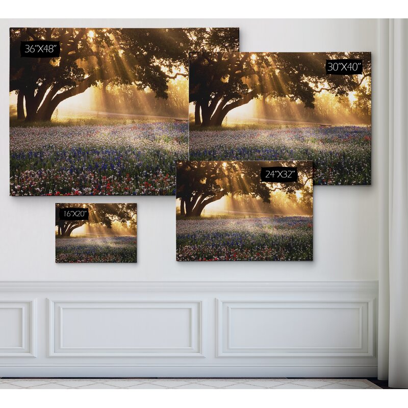 Charlton Home® Morning Meadow Sunrise On Canvas Print & Reviews | Wayfair