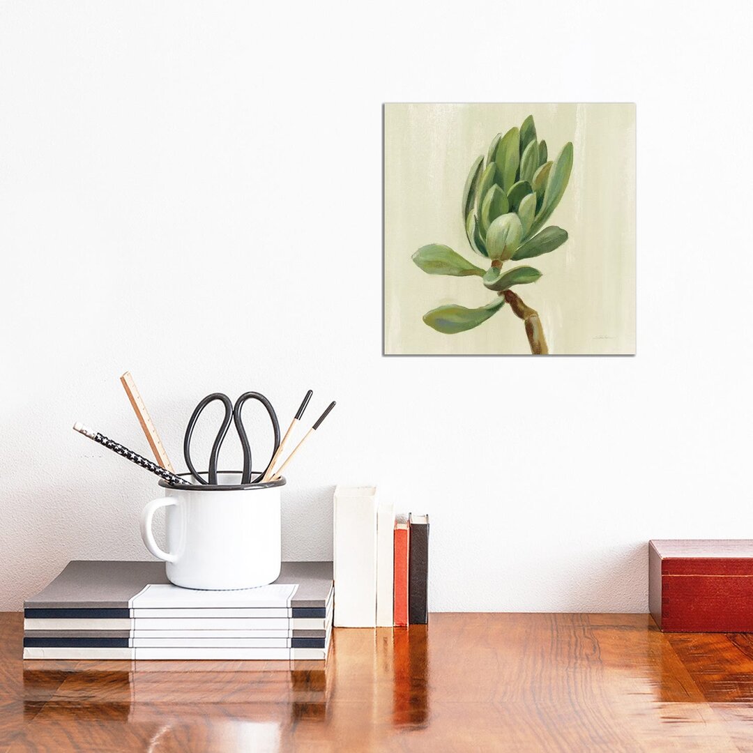 Front Yard Succulent III von Silvia Vassileva - Galerie-verpackte Leinwand Giclée auf Leinwand