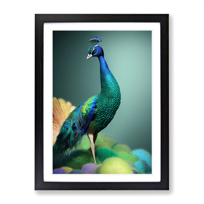 Amazing Peacock - Single Picture Frame Print, Black Framed, 46cm H x 34cm W x 2cm D