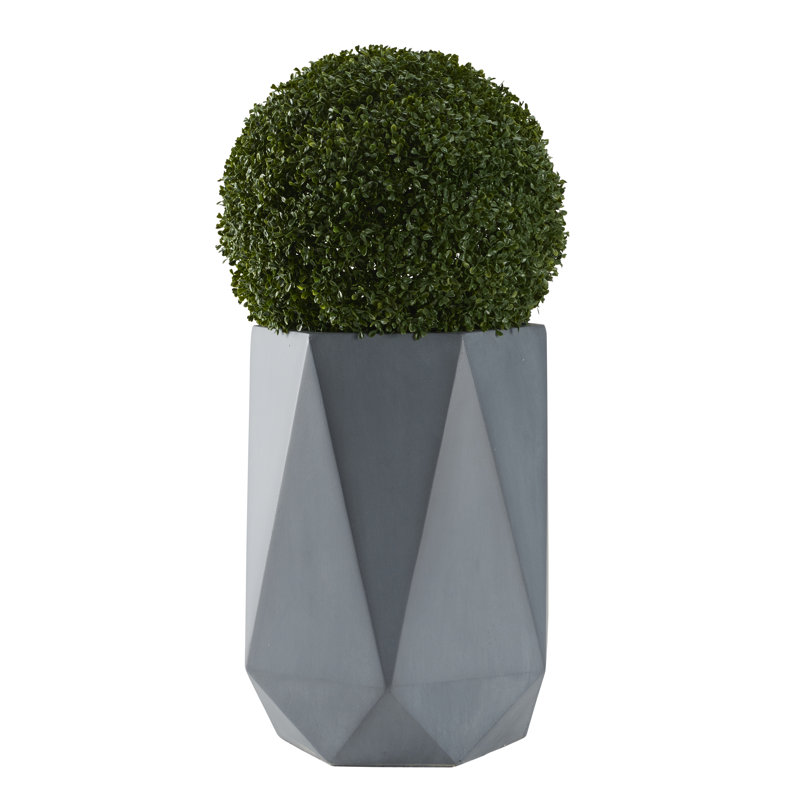 Boule de buis 38 po en pot géométrique, H 38 po x l 19 po x P 19 po, gris