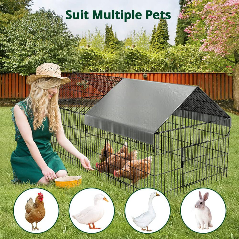 Dennetta 100 Square Feet Chicken Run