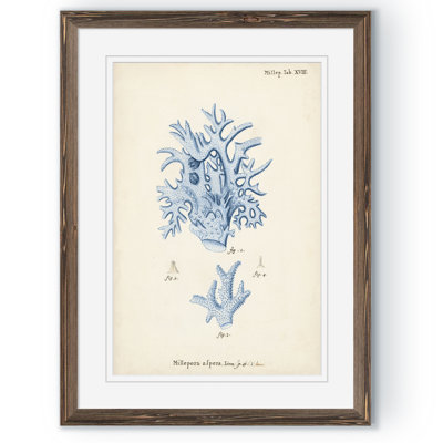 « corail antique en bleu marine vi » par paul cezanne-cadre photo, reproduction d’art