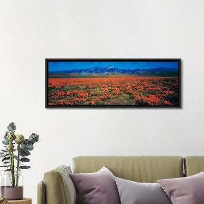 «Antelope Valley California Poppy Reserve, Los Angeles County, California, USA», reproduction de photo sur toile