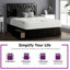 Fan Divan Bed Base-1586753313-1490776427-1490776447