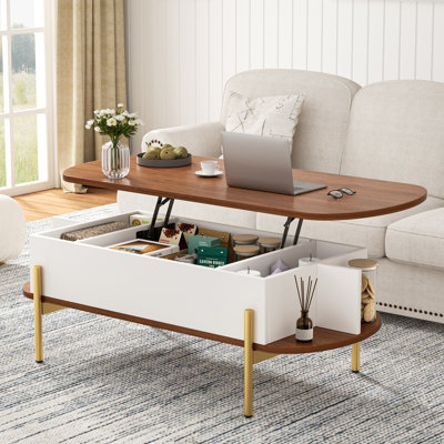 Molter 48" Oval Lift Top Coffee Table With Storage Open Shelf Living Room