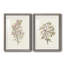 «Twig Study I», ensemble de 2 reproductions de cadres photo-691490330-691490341