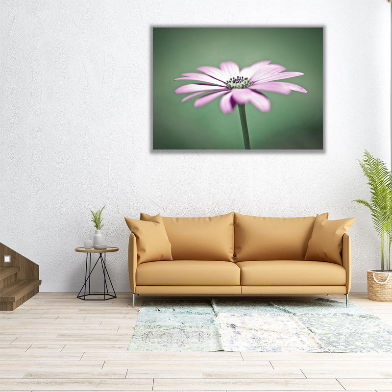 «African Daisy 1», reproduction d'art sur toile, H 24 po x l 32 po