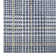 Plaid Indoor Rug