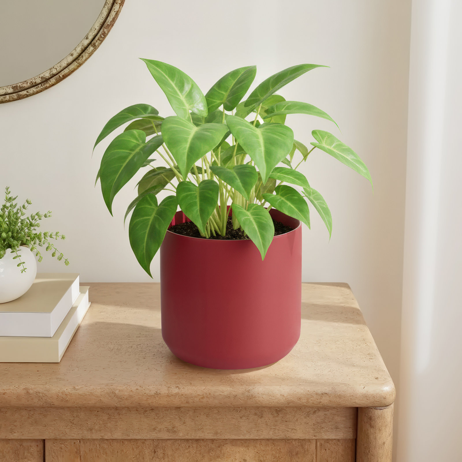 Parsons 9" Ceramic Pot Planter, 6.75'' H x 7'' W x 7'' D