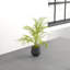 26'' Faux Palm Plant in Ceramic Pot