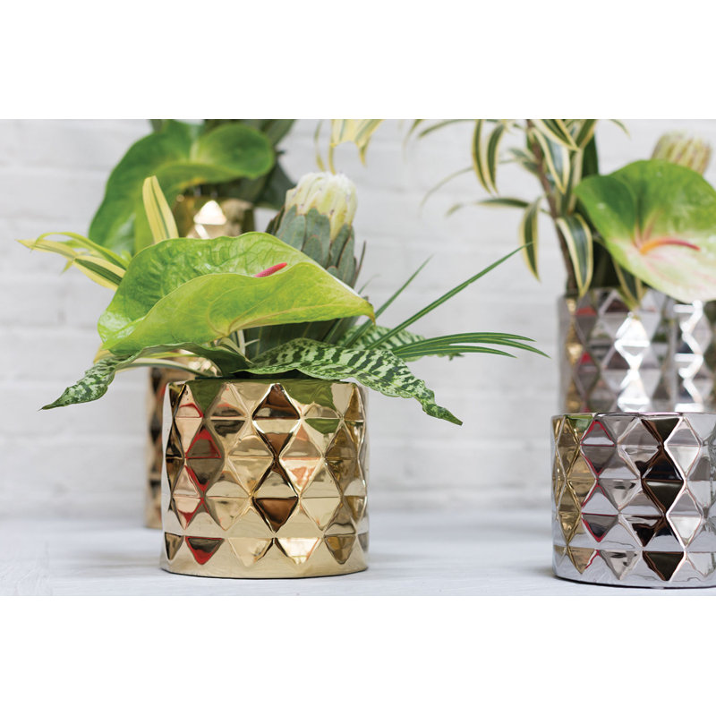 Jardinières en pot, H 4 po x l 4,75 po x P 4,75 po