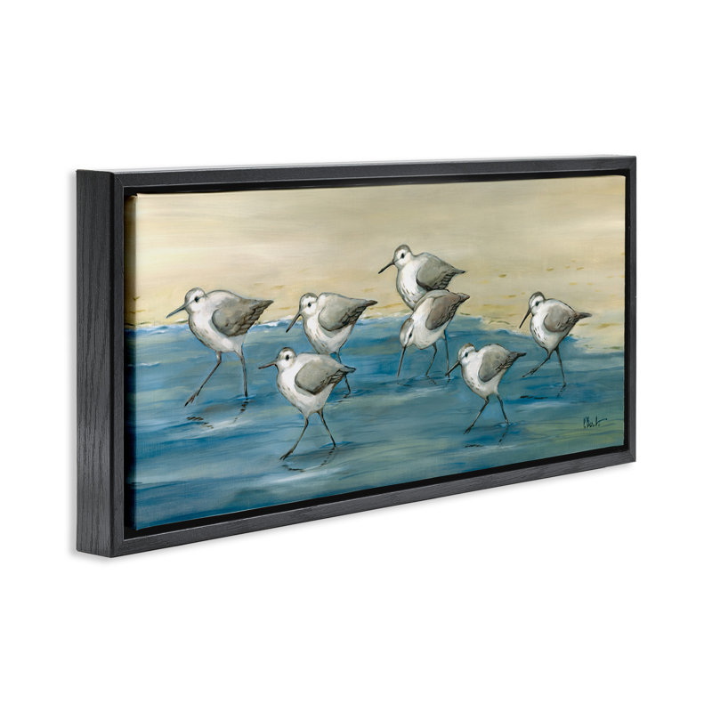 «Sandpiper Bird Flock Beach Shoreline» par Paul Brent, Cadre flottant noir de jais, H 14 po x l 31 po