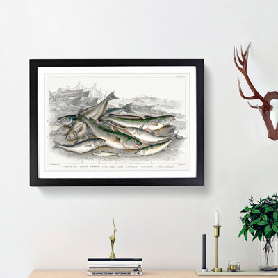 Beached Fish PL.67 by Oliver Goldsmith - Single Picture Frame Painting