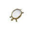 Turtle Magnifier - High Polish Gold