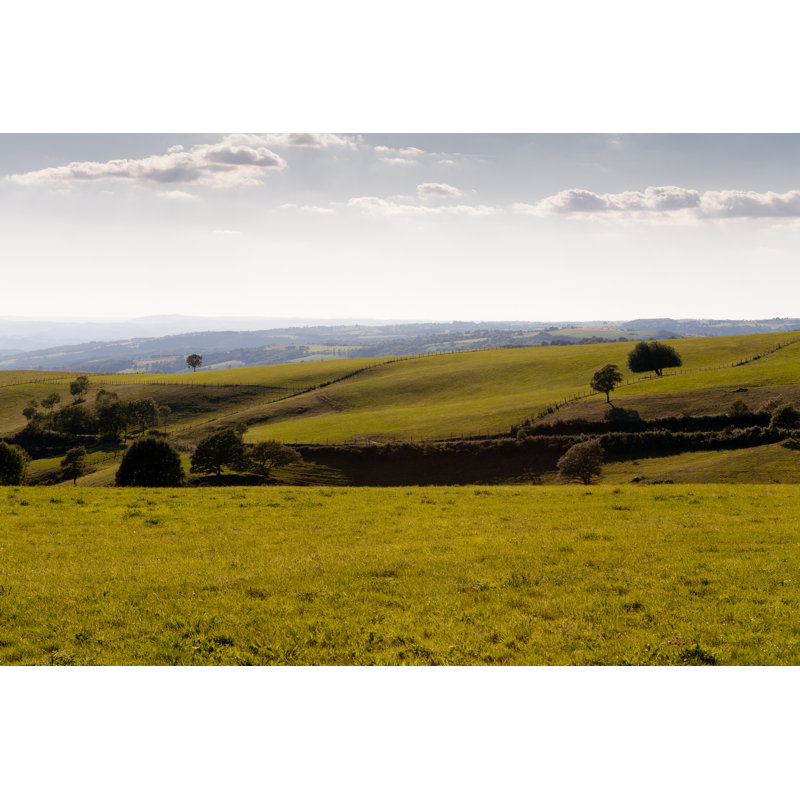 Aubrac In Aveyron by Crobard - Wrapped Canvas Print, 81cm H x 122cm W x 3.8cm D