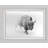 Bison In The Mist - Single Picture Frame Print-1803958352-1803958356