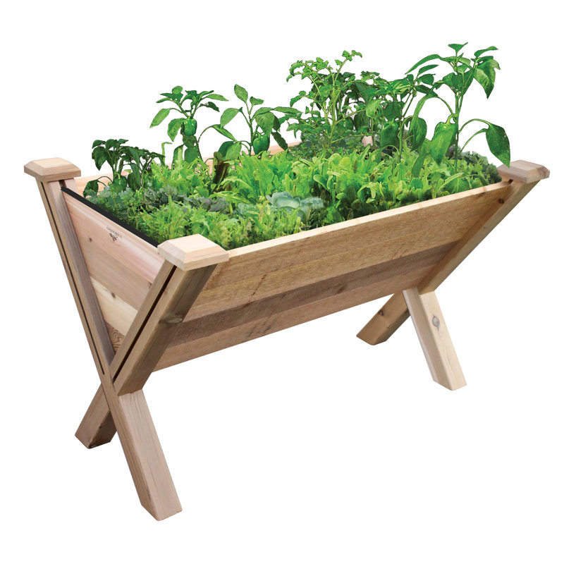 Pot à fleurs surélevé en bois Syston
