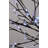Cherry Blossom Tree Clear and RGB LED Lighted Tree