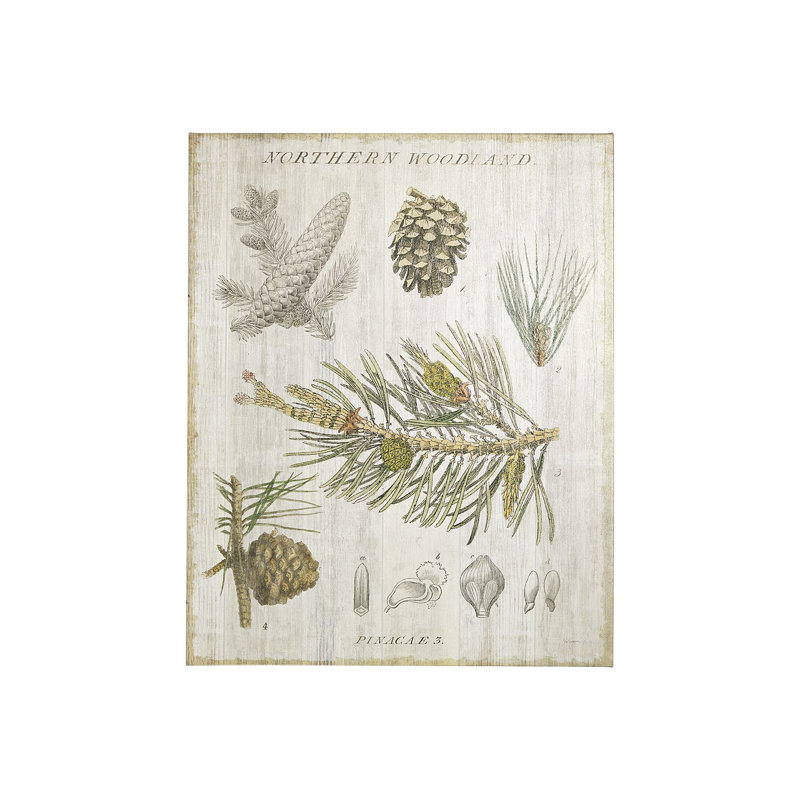 Toile texturée embellie à la main Woodland, H 35 po x l 28 po x P 1,5 po