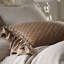 Estrella Quilt-1409938762-1409938763