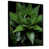 Black Floater Framed selected