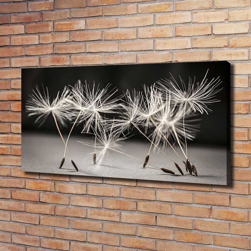 Dandelion Seeds - Wrapped Canvas Print