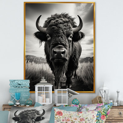 " Bison Tales Of The Prairies "